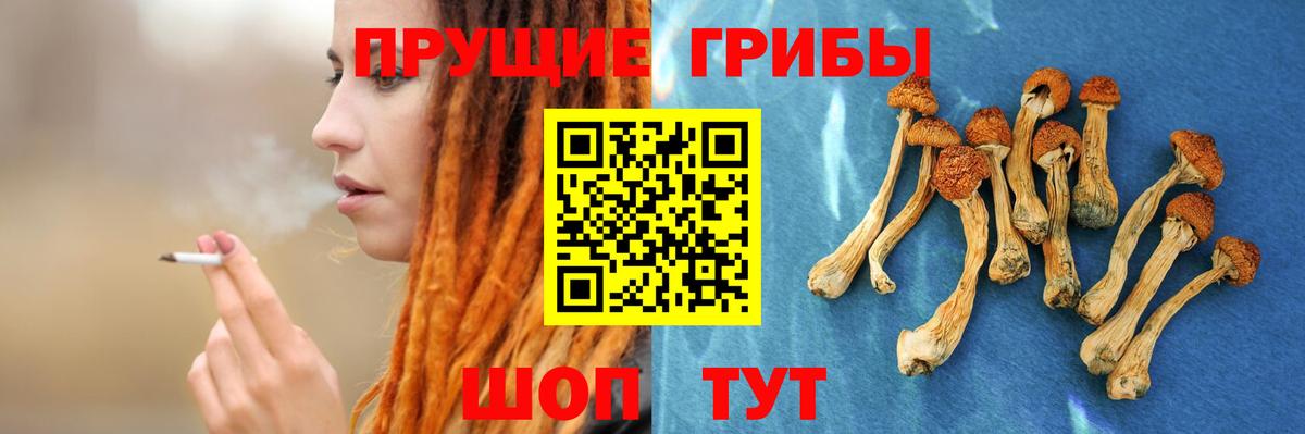 цены наркотик  Вход с VPN  Анапа  Галлюциногенные грибы MAGIC MUSHROOMS 